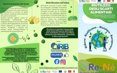 L’IRIB CNR a développé, au sein du projet Re-Né, à travers la recherche…