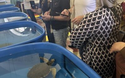 Favignana – Visita al Centro Recupero Tartarughe Marine 
 Area Marina Protetta …